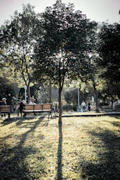 Community members sharing a quiet moment together in a tranquil garden setting.
