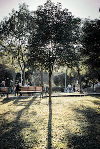 Community members sharing a quiet moment together in a tranquil garden setting.