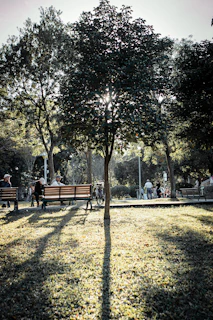 A peaceful city park scene with people reading newspapers and chatting on benches, bathed in warm afternoon light.