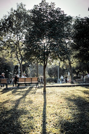 A peaceful park with people reading newspapers and chatting on benches.