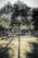 A tranquil park setting with several wooden benches positioned along a shaded pathway. An overarching tree casts a long shadow on the grass, bisected by bright sunlight filtering through its leaves. People sit on the benches, engaging in quiet relaxation and conversation. The background features more trees and a lamppost alongside people walking or standing around, adding to the peaceful ambiance.