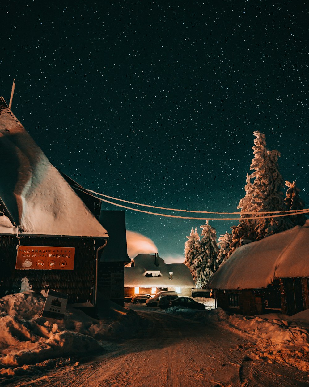 brown and black horse on brown wooden house during night time