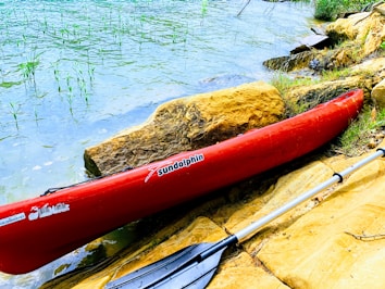 A red kayak labeled 'sundolphin' is resting on rocky, earthy terrain next to a body of water. Green aquatic plants are visible in the shallow parts of the water. A paddle is laying on the ground near the kayak.