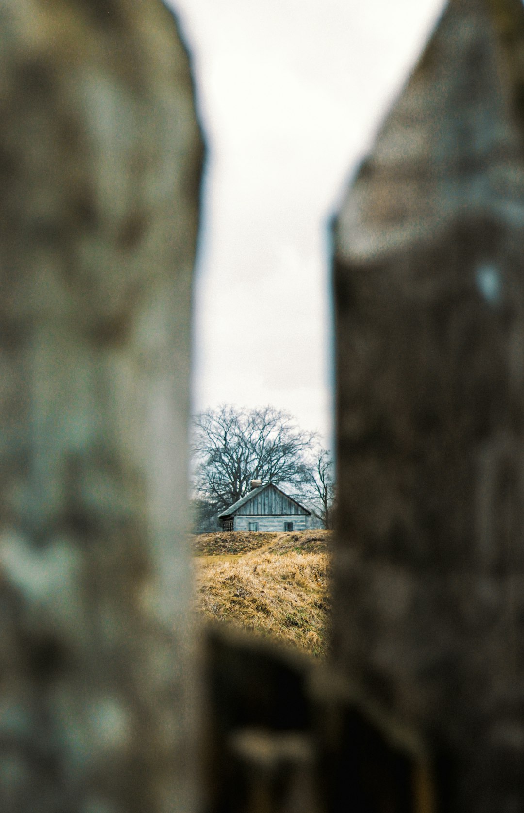 brown wooden house near bare trees during daytime