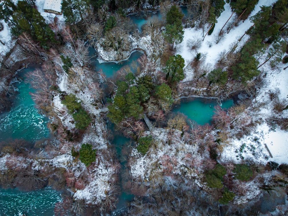 Vue aérienne d’un lac entouré d’arbres recouverts de neige pendant la journée