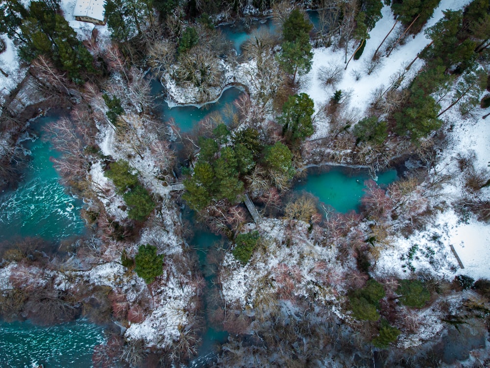 vista aérea do lago cercado por árvores cobertas de neve durante o dia