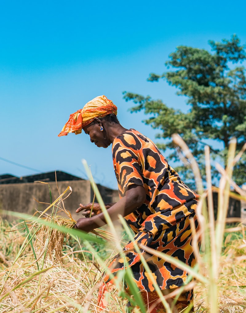African farmer working in the field — Olives Organic Foods sources directly from certified producers across Uganda