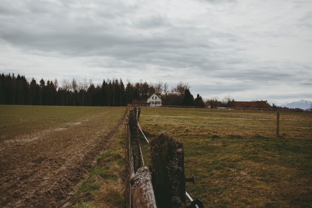 green grass field under cloudy sky during daytime