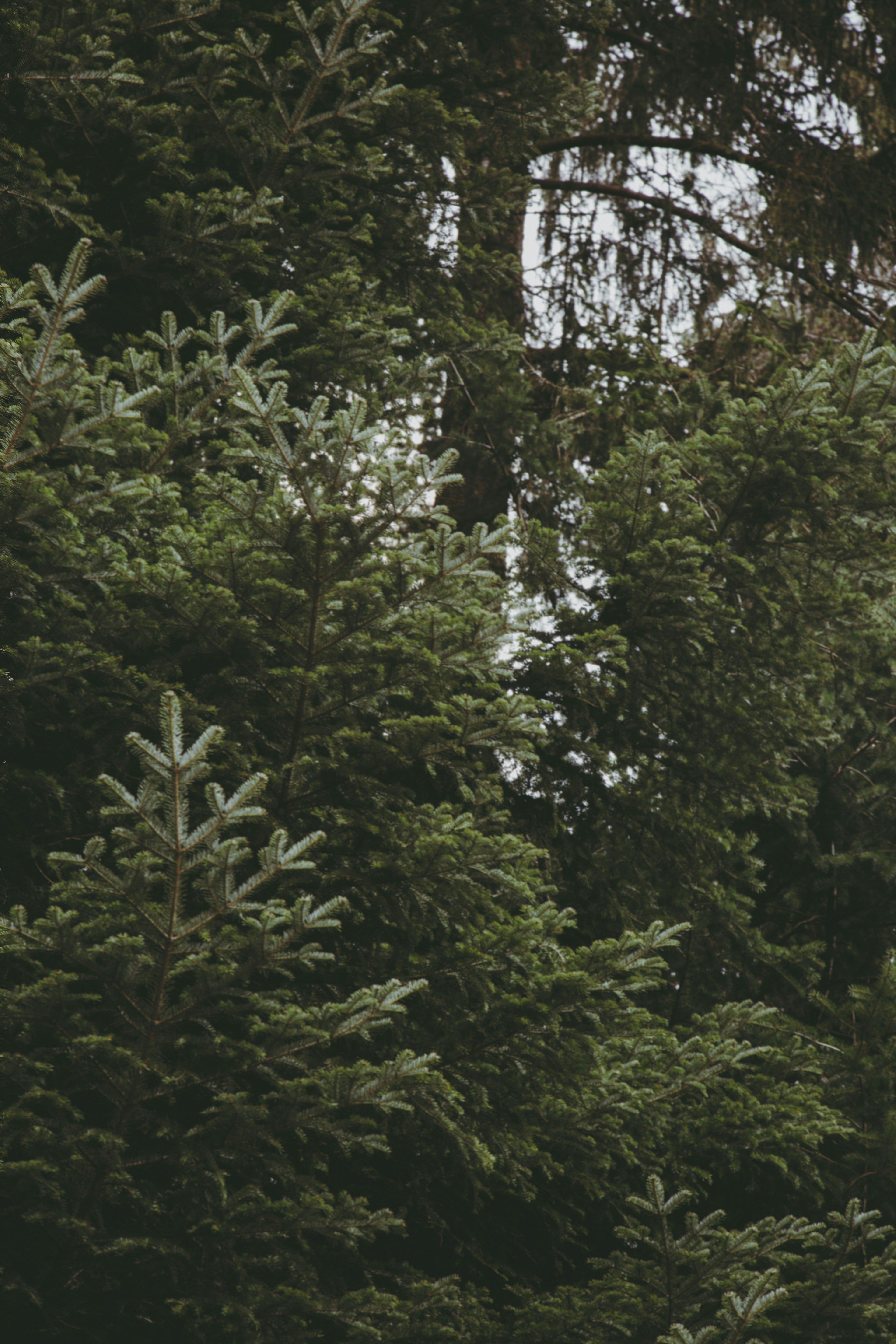 Photo by i_am_simoesse