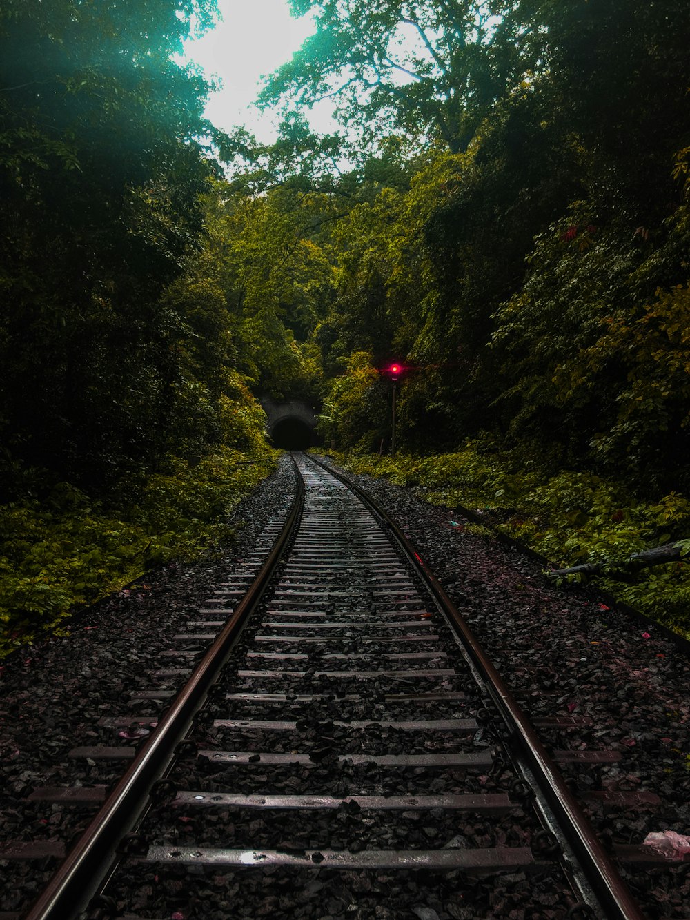 train rail between green trees during daytime