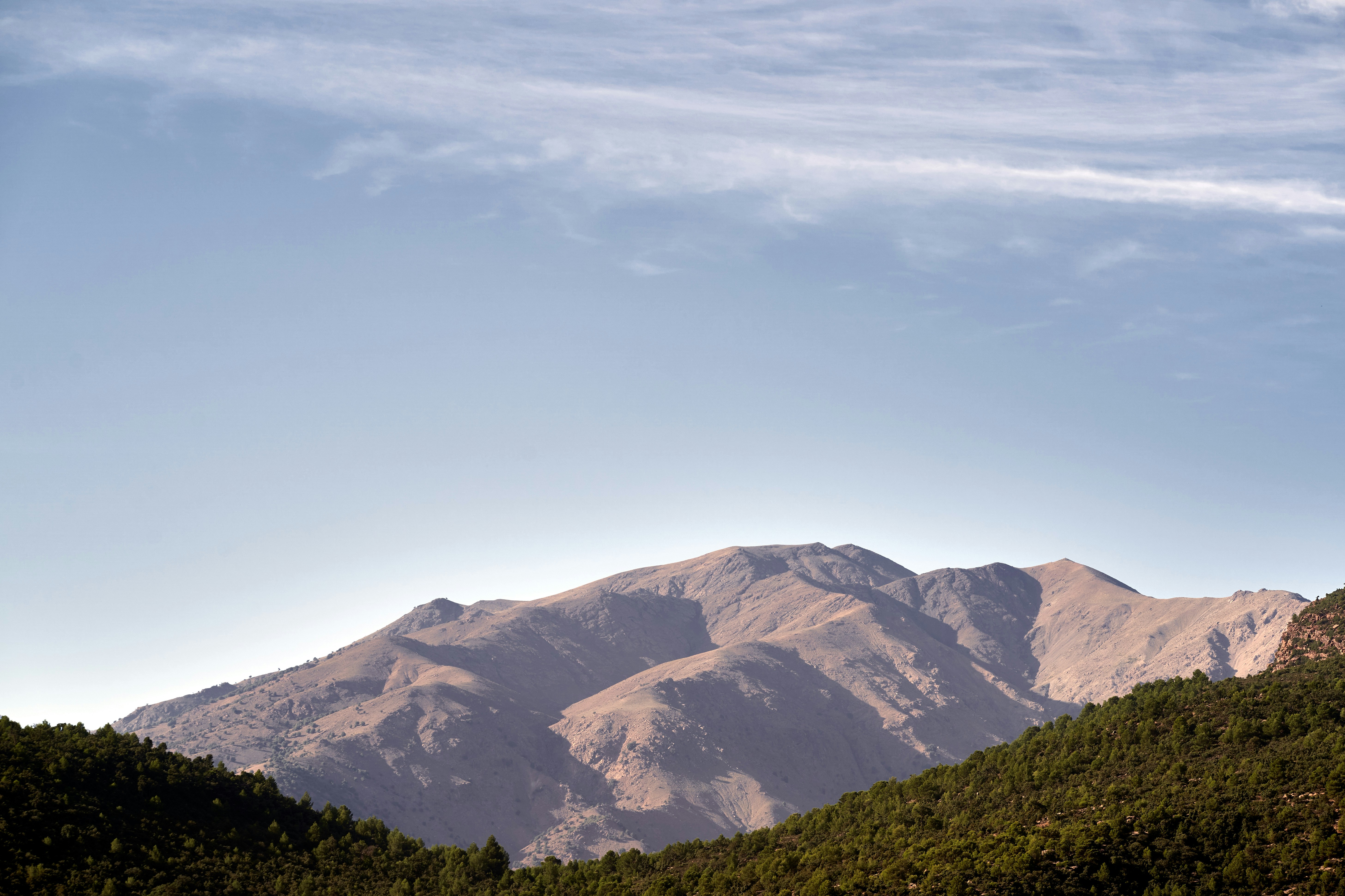 Photo by wolfgang_hasselmann