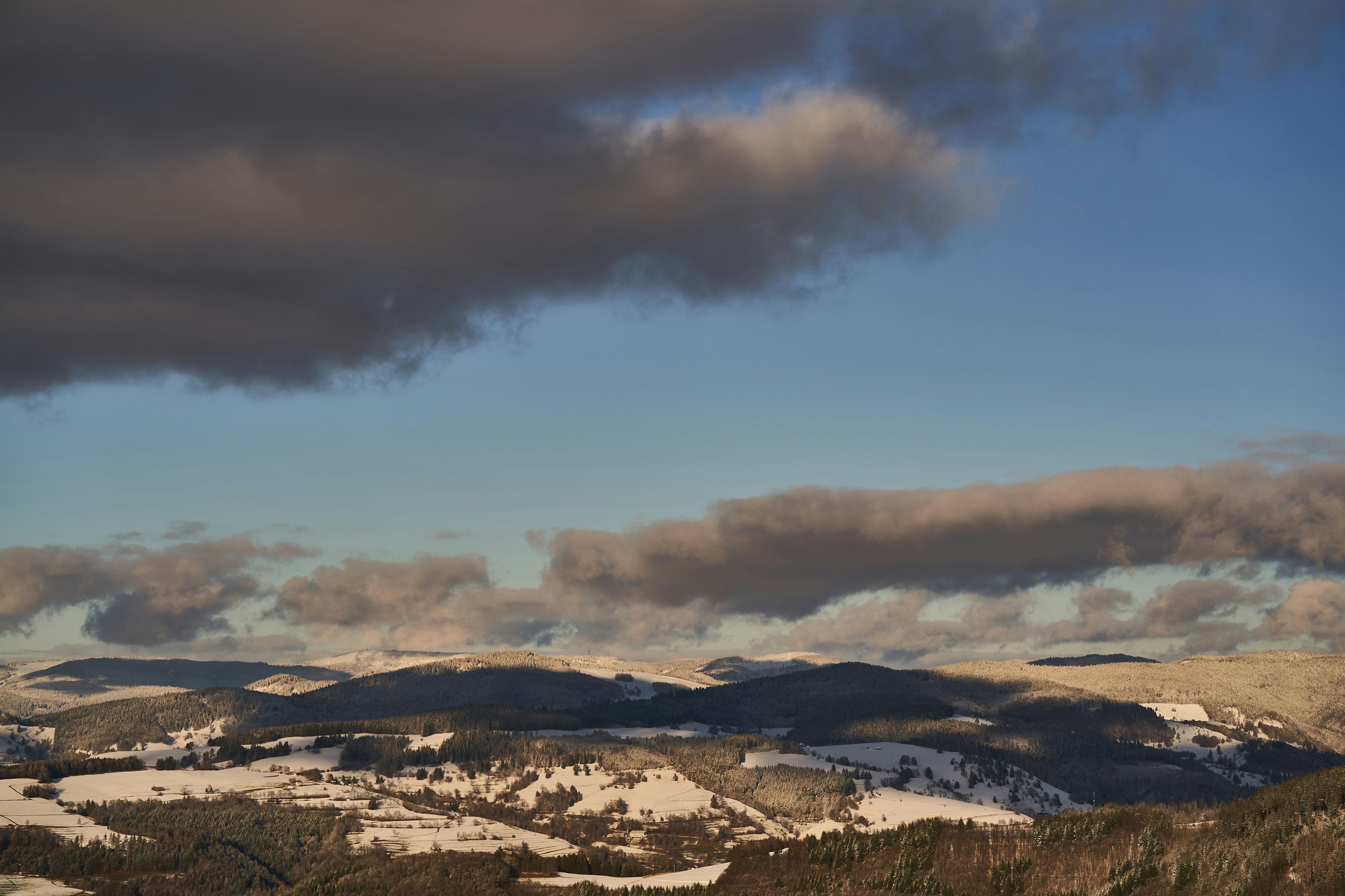 Photo by wolfgang_hasselmann