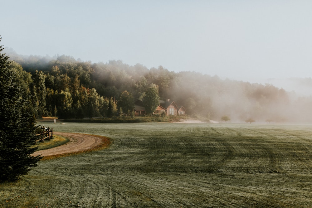 green grass field with white smoke during daytime