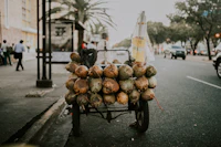 La Bachata: El Amor desde los Márgenes (1962–1990)