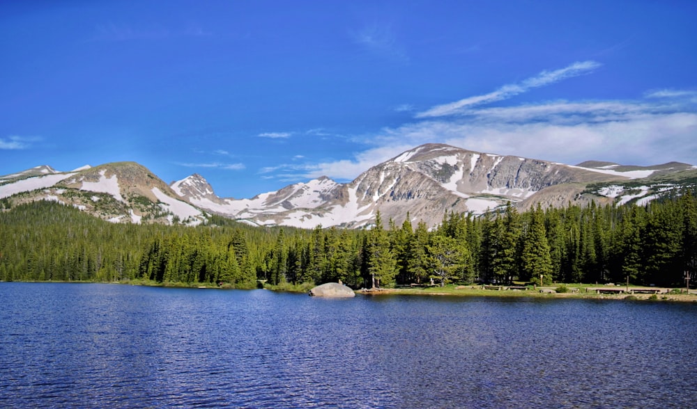 green trees near lake and snow covered mountain during daytime