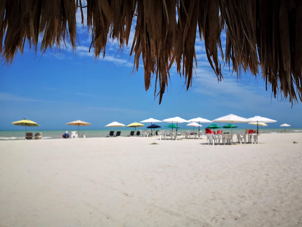 ombrelloni bianchi e blu in spiaggia durante il giorno
