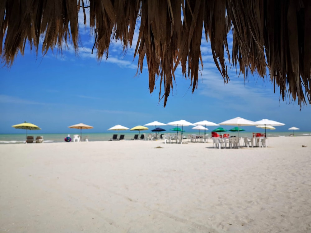 white and blue beach umbrellas on beach during daytime