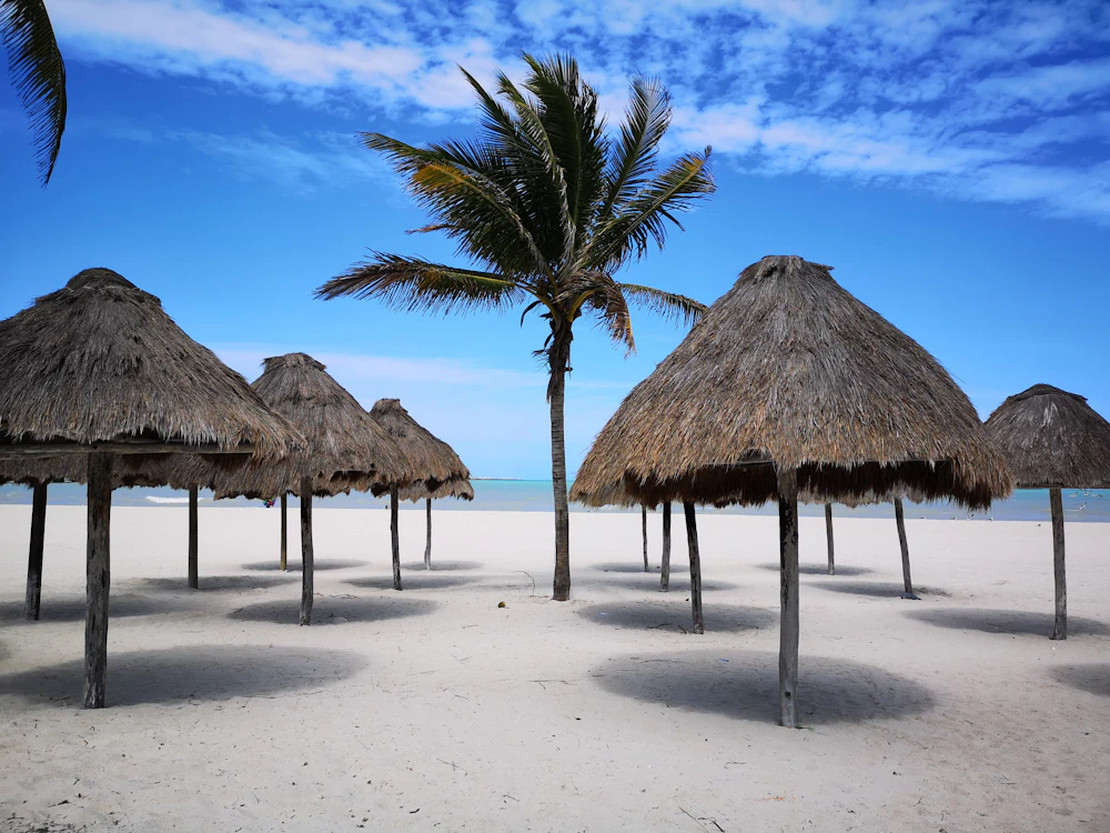 Palapa de palma sobre la arena junto al mar