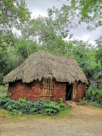 brown wooden house near green trees during daytime