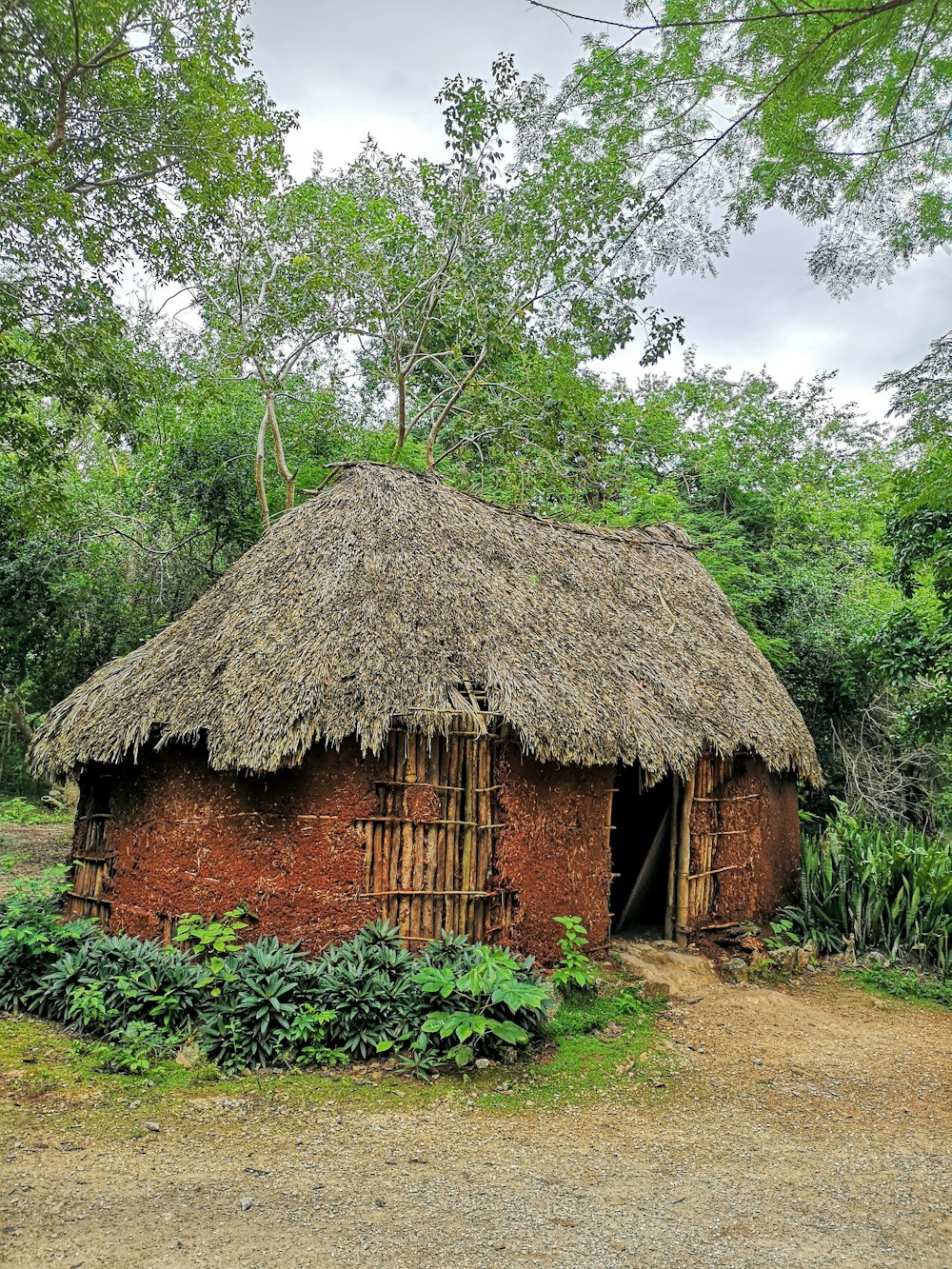 brown wooden house near green trees during daytime