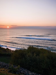 green grass near body of water during sunset
