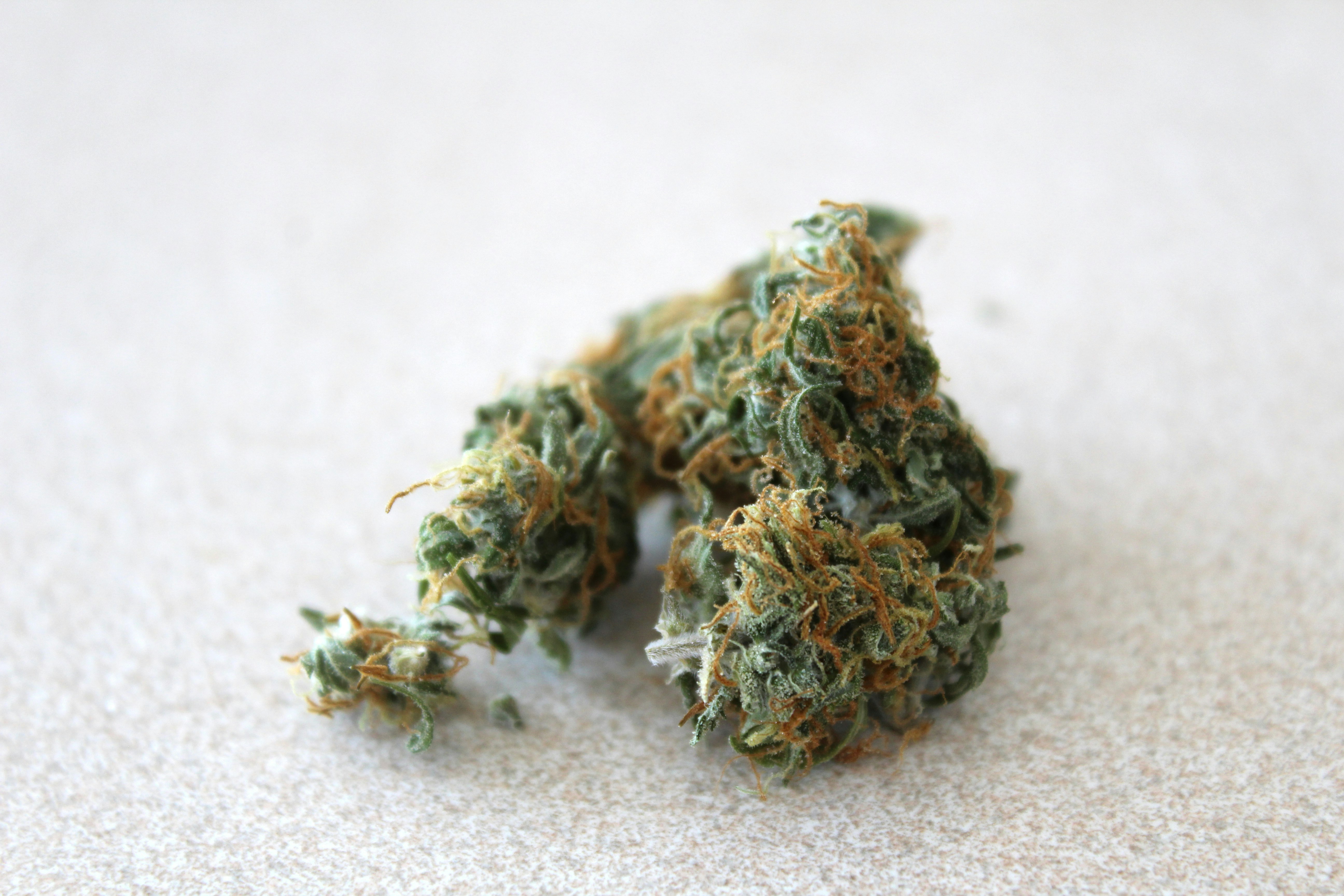 Miközben tévhit dőlt meg a marihuána legalizációjáról, Kanada egyik tartománya már a heroint dekriminalizálta