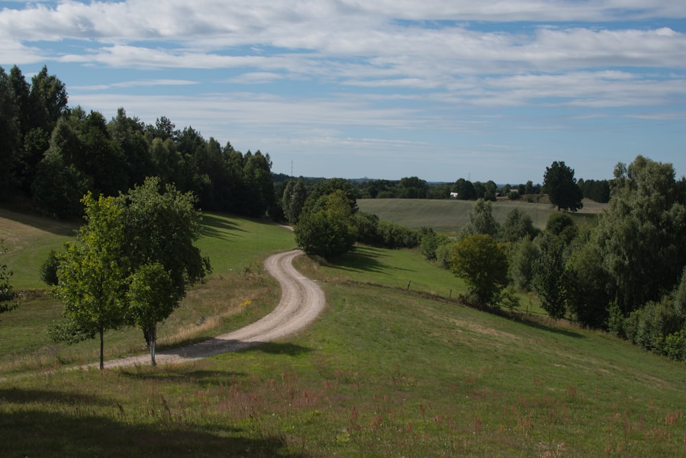 green grass field and trees under blue sky during daytime