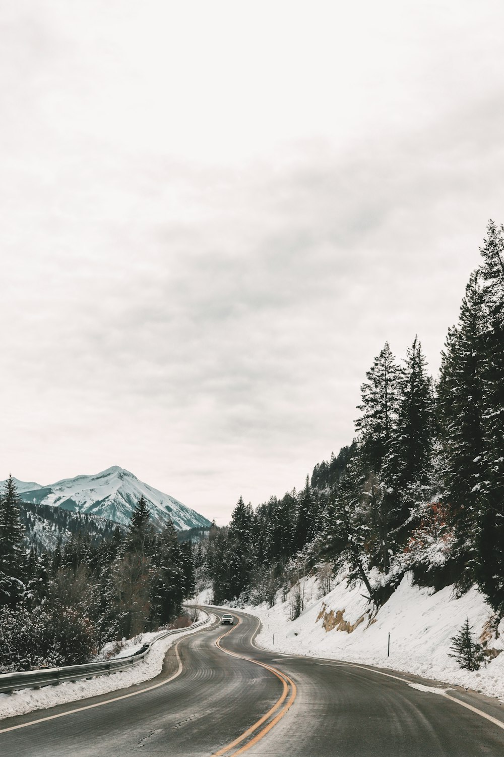 green pine trees near snow covered mountain during daytime