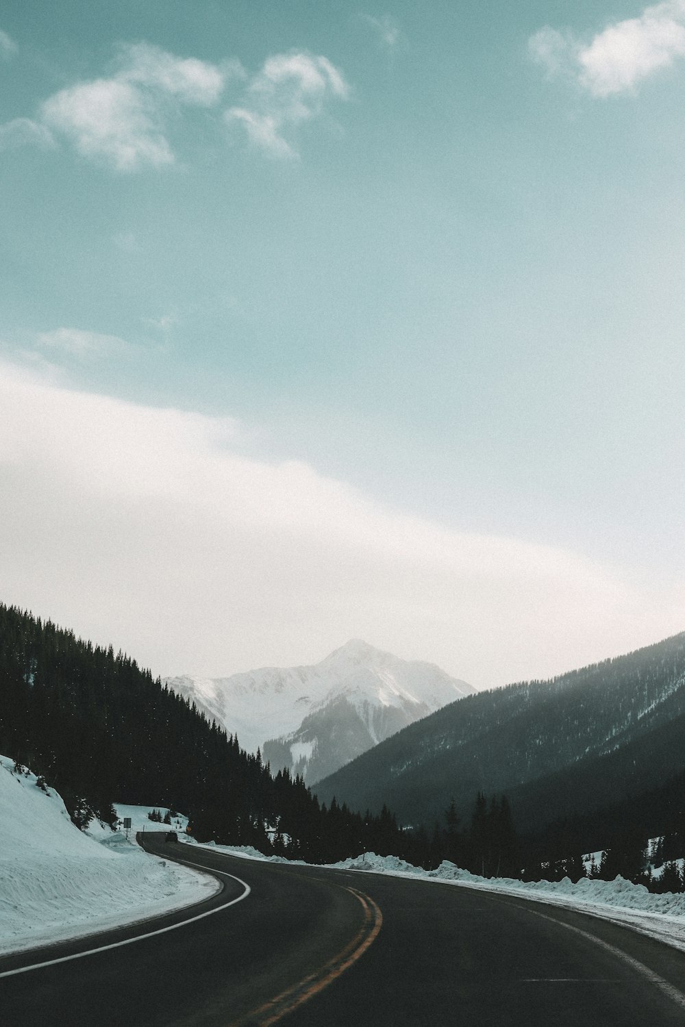 green trees on snow covered ground during daytime