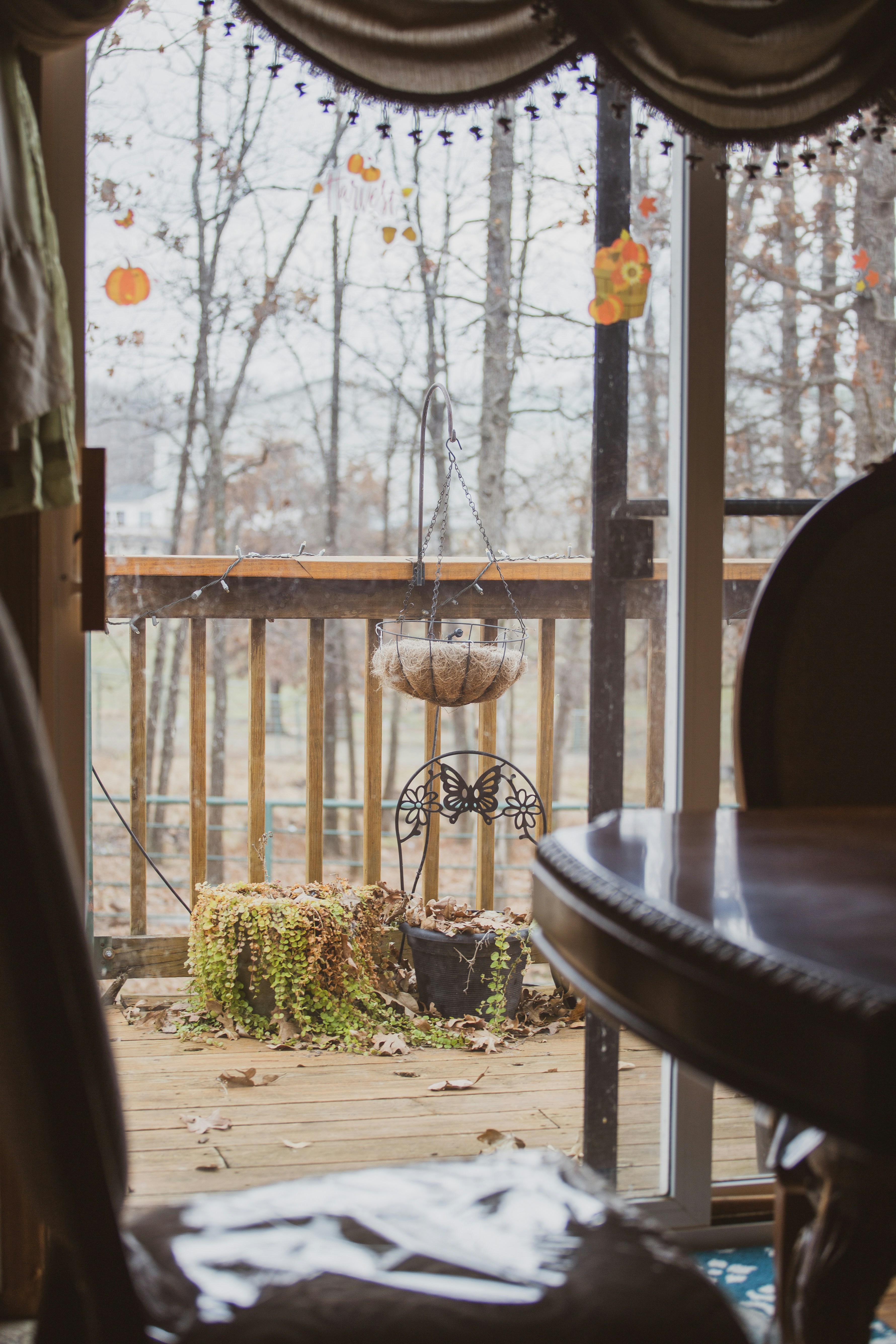 Photo by ndg_visuals