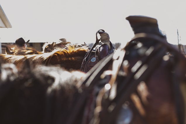 A vibrant image showing riders from Aragon Stable showcasing their skills during a sunny equestrian event.