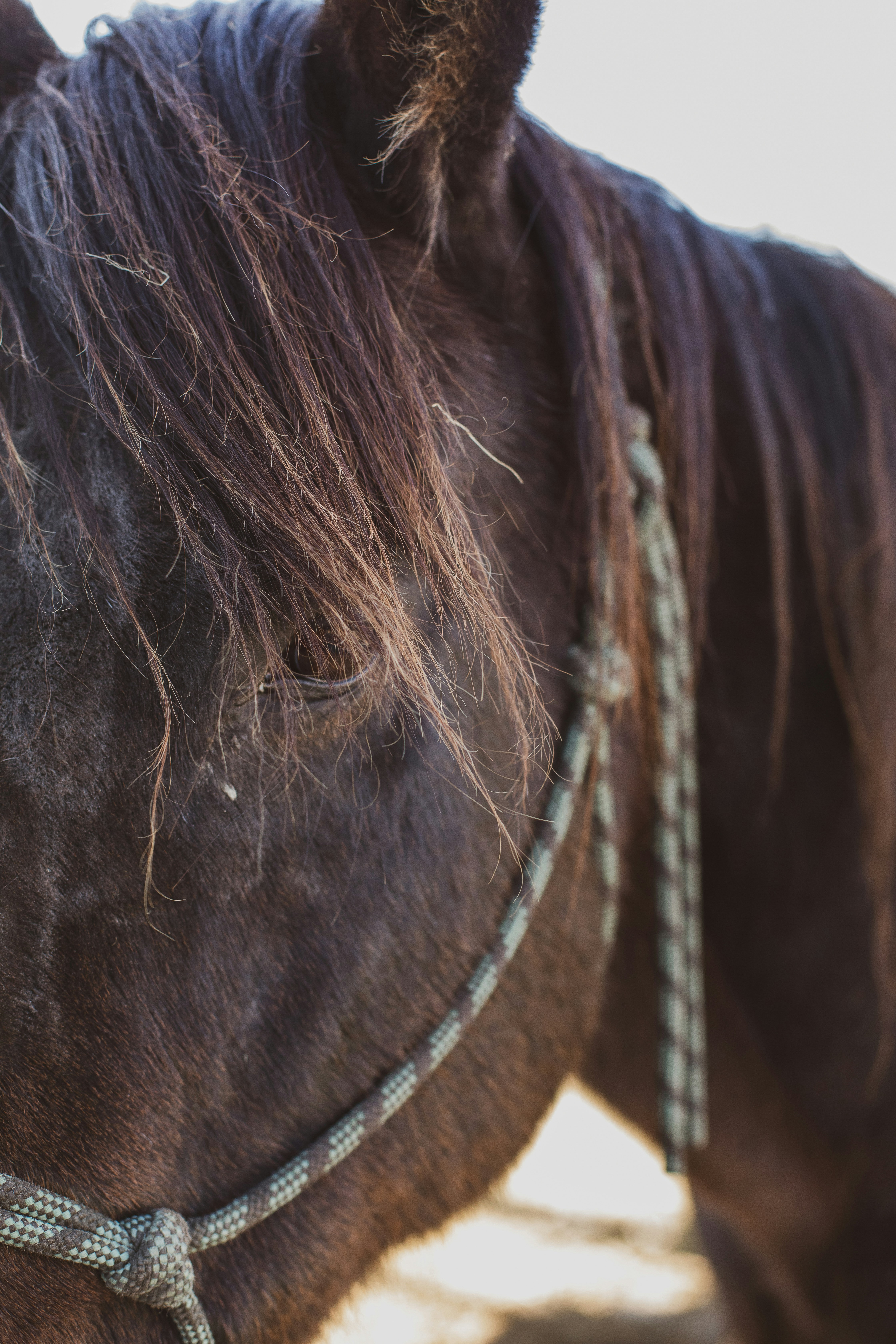 Photo by ndg_visuals