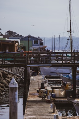 A scenic dock with wooden walkways and several small fishing boats moored alongside. Buildings with colorful facades are lined up along the waterfront with hills visible in the background. A person is tending to equipment on the dock, and a few seagulls are flying overhead.