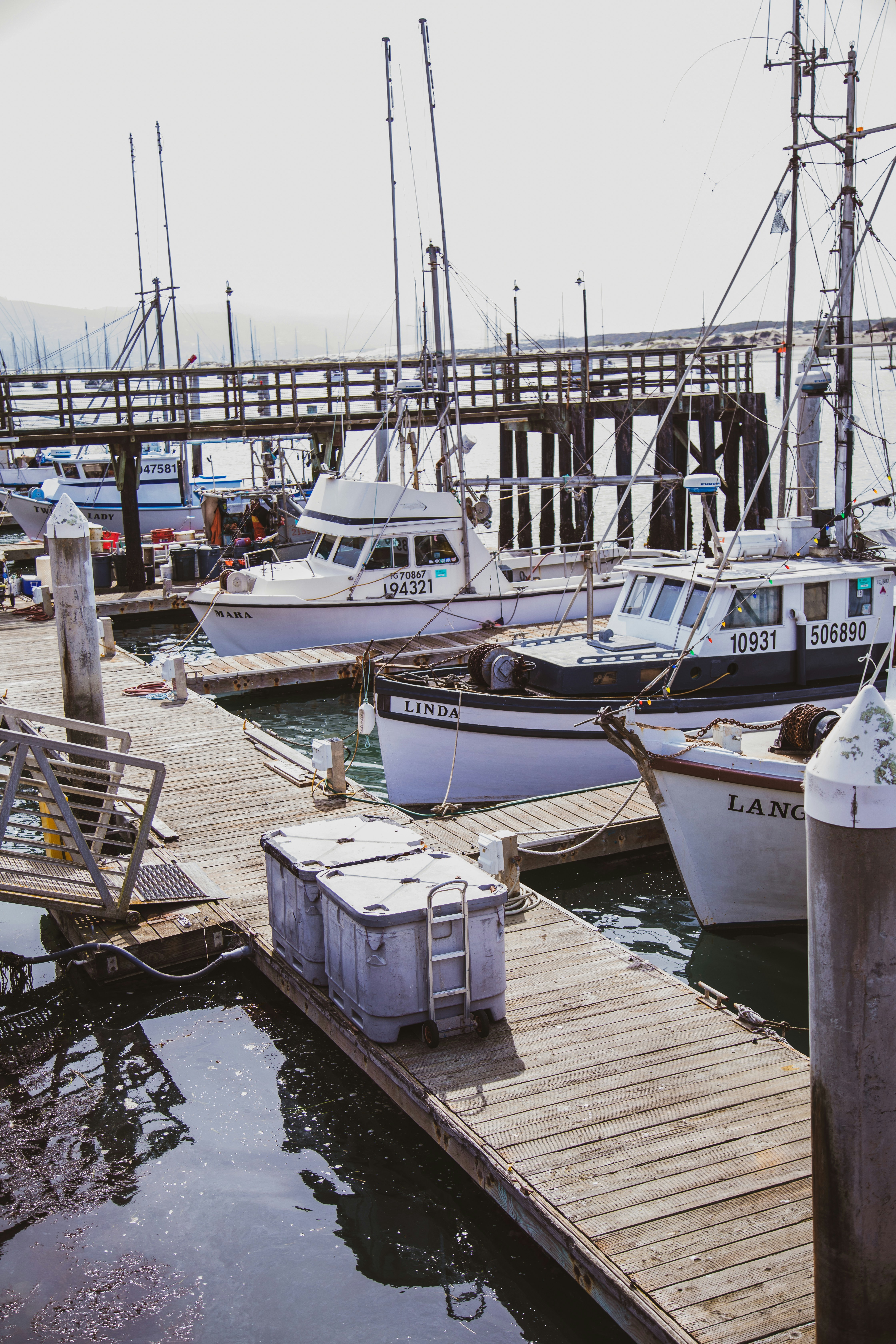 Photo by ndg_visuals