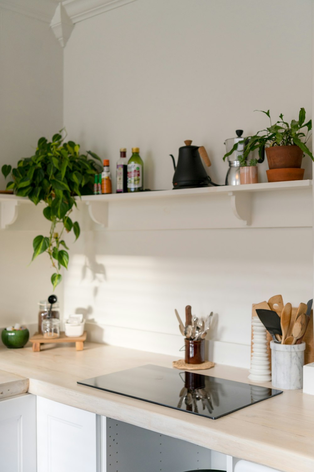 grüne Zimmerpflanze auf braunem Holztisch