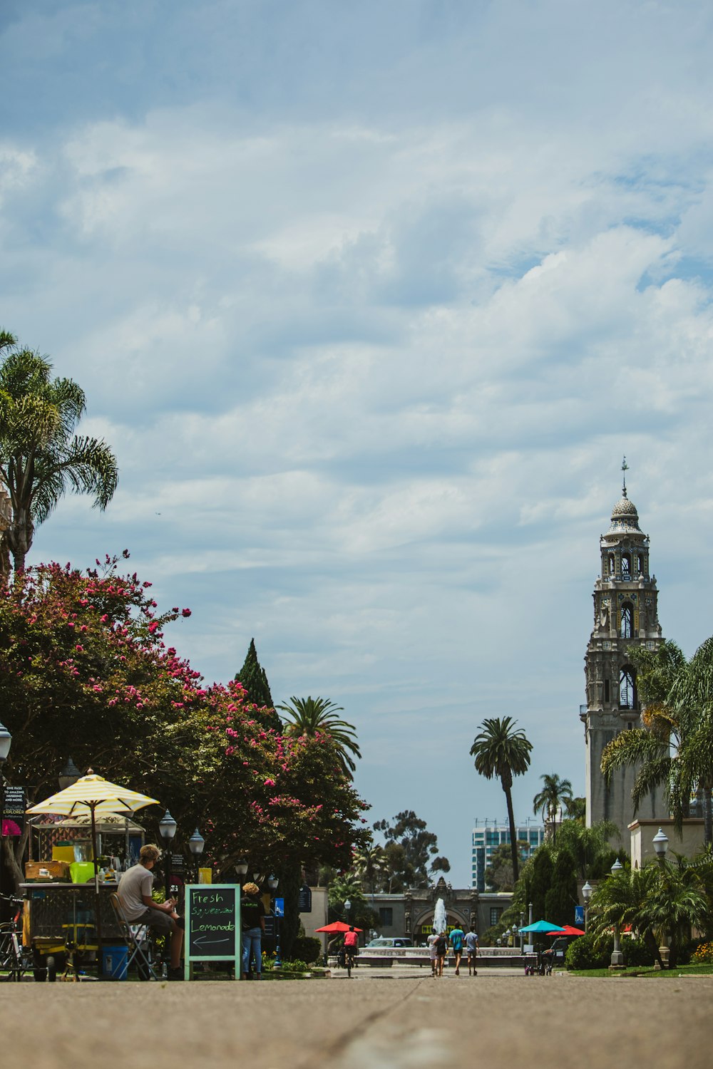 people walking on street near green palm trees and building during daytime