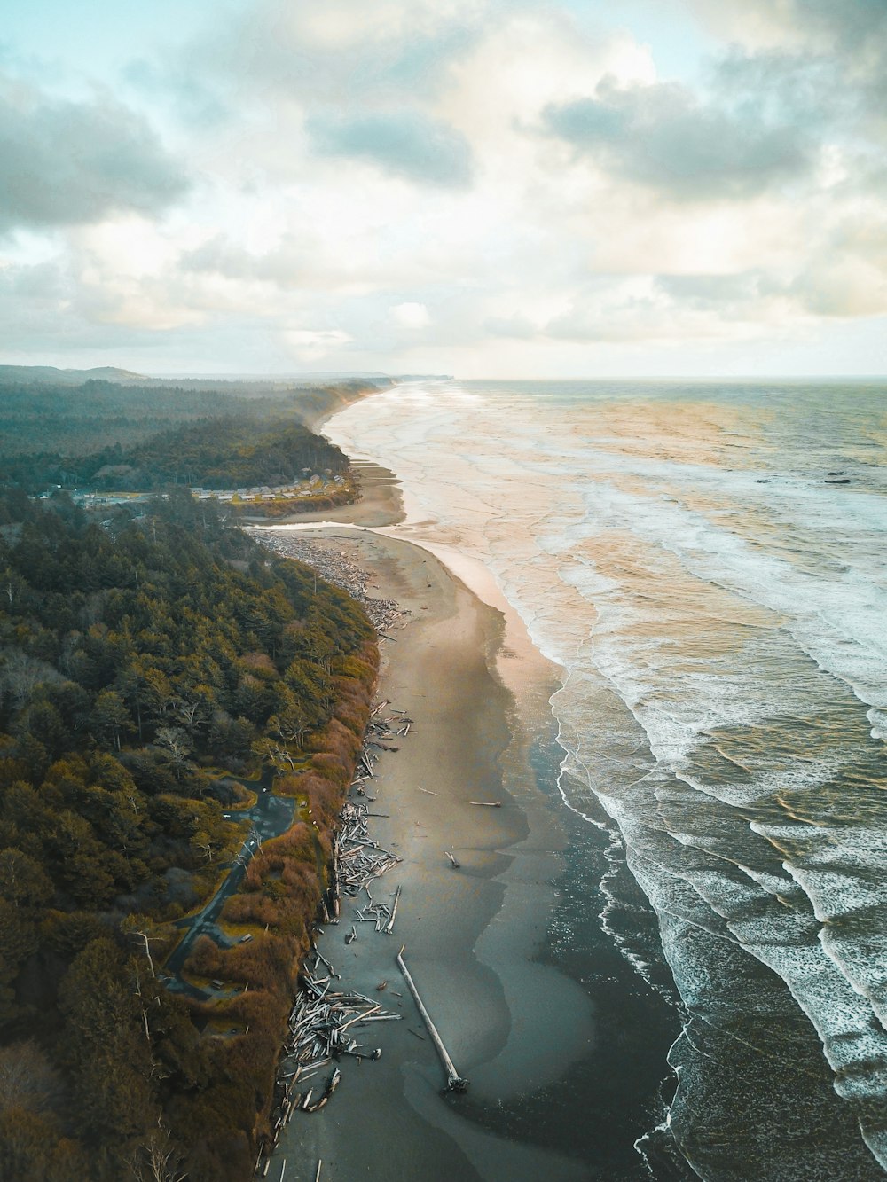 brown sand beach during daytime