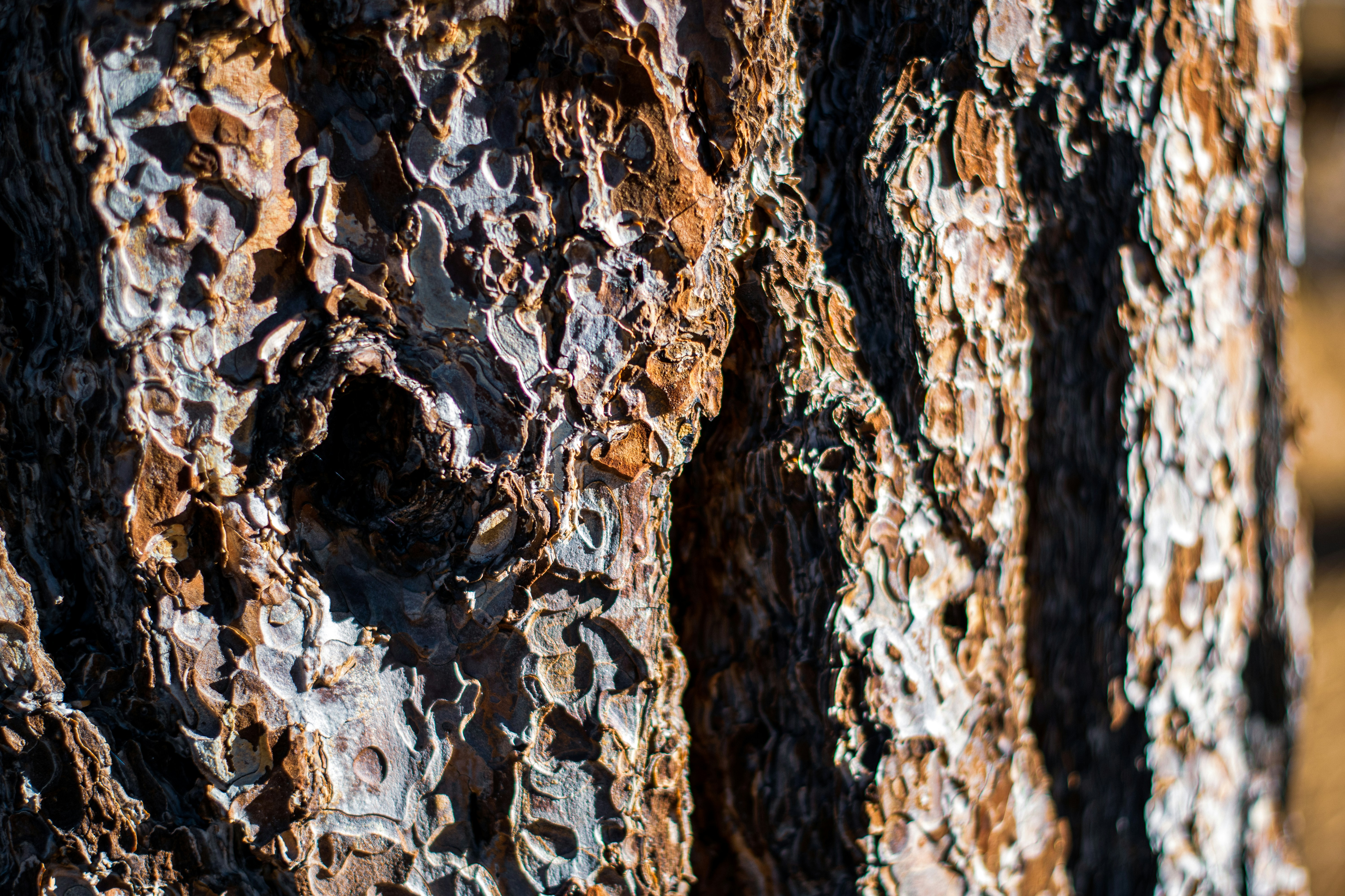 Photo by brady_bellini