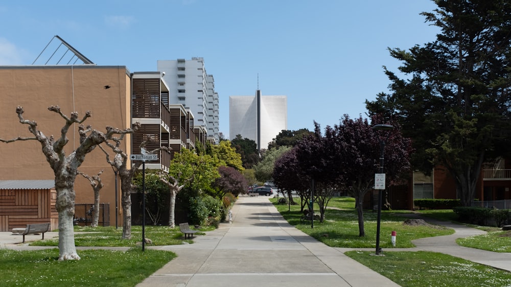 green grass field near city buildings during daytime