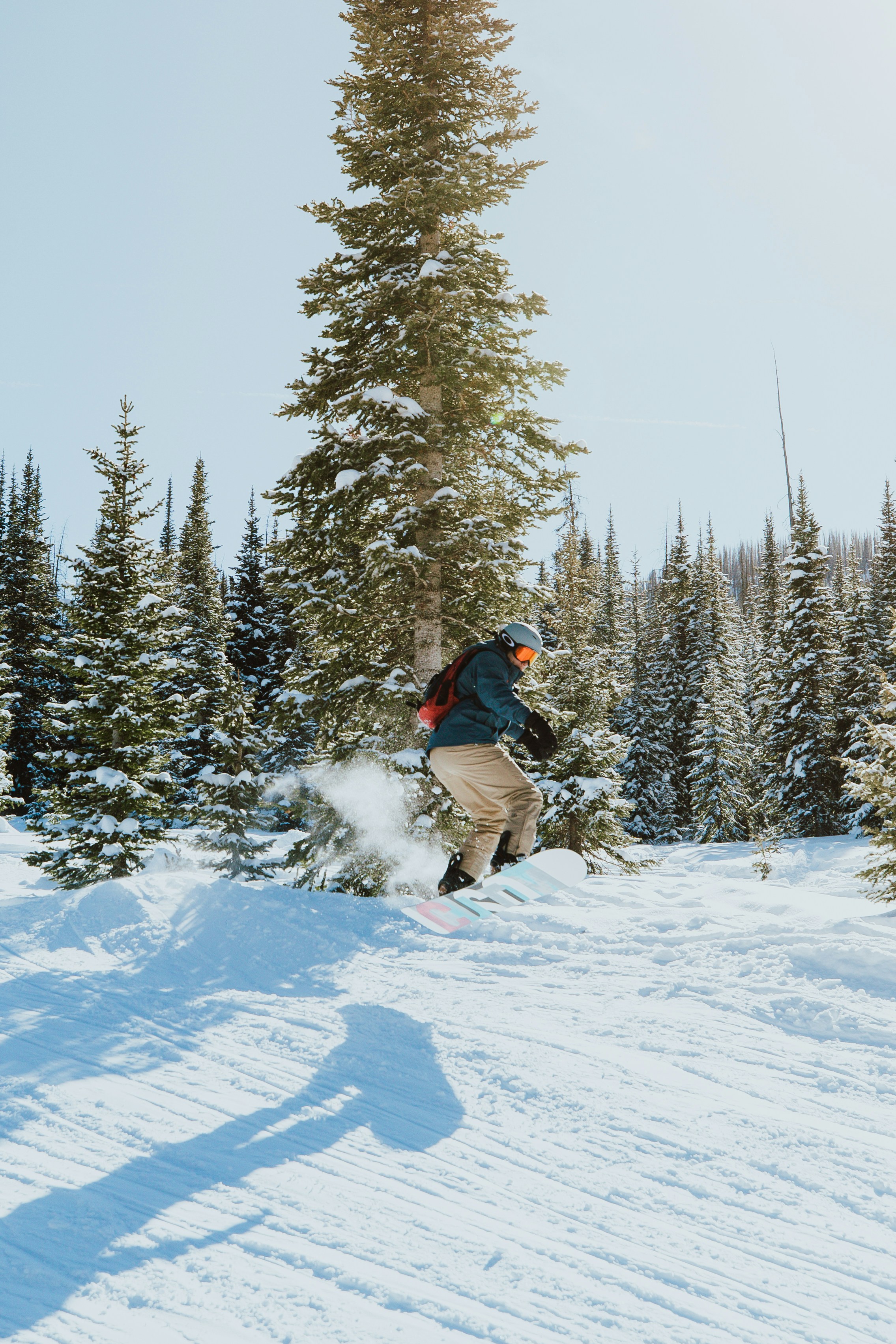 Photo by natejohnston