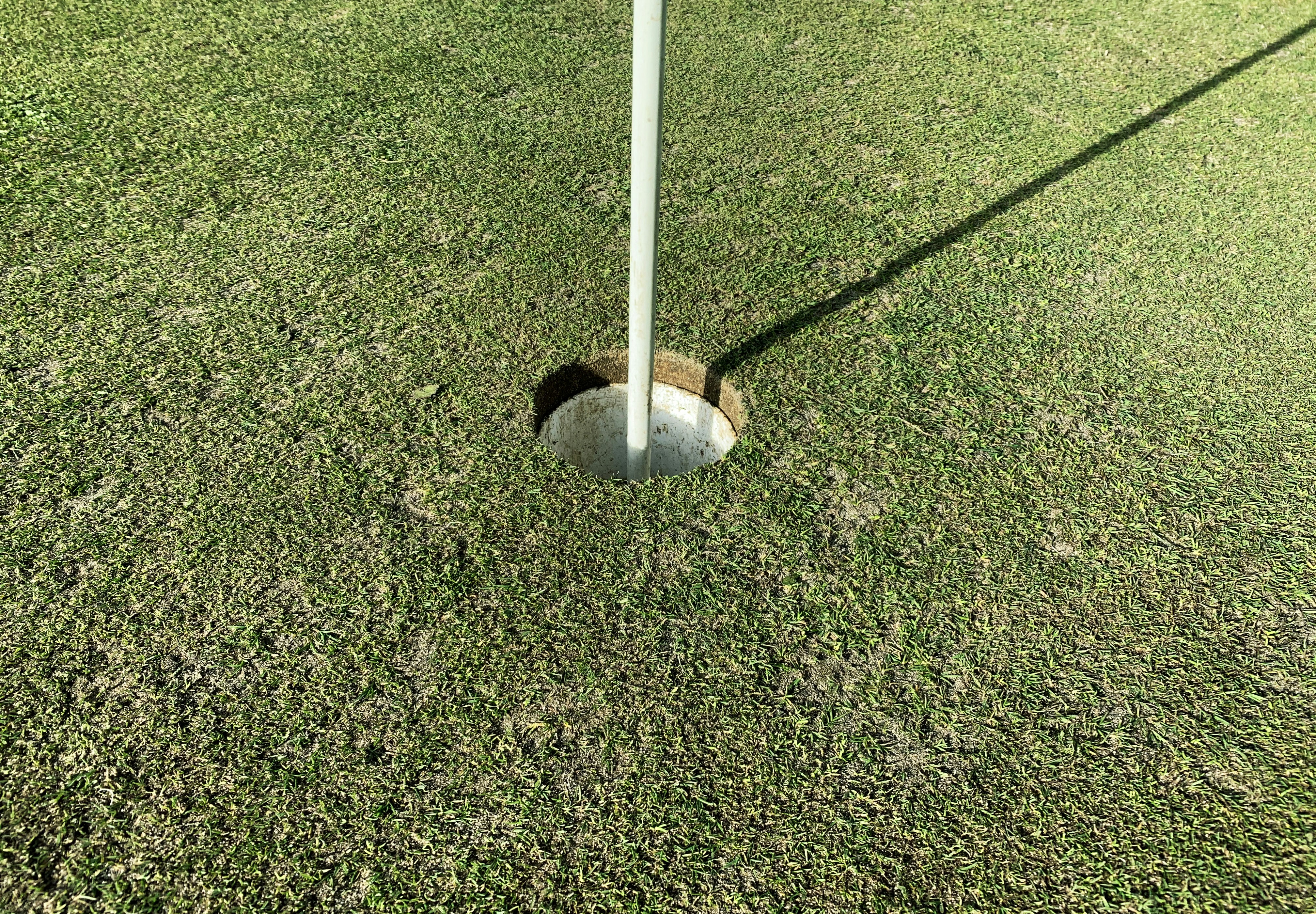 white and gray metal stand on green grass field