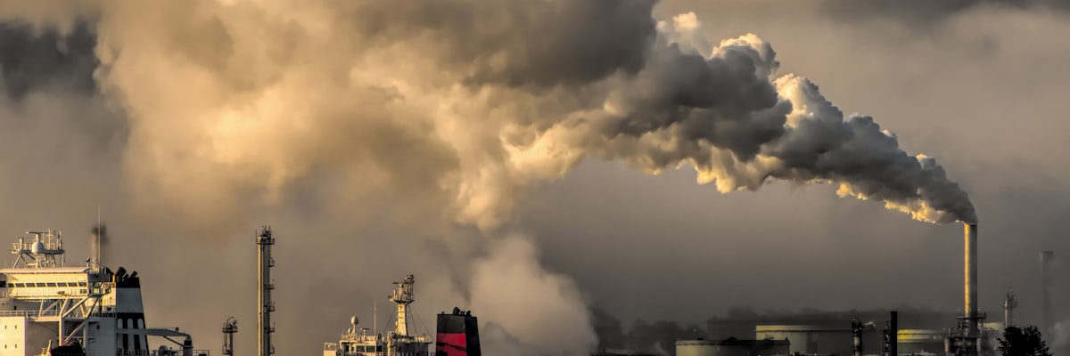 Carbon accounting and sustainability