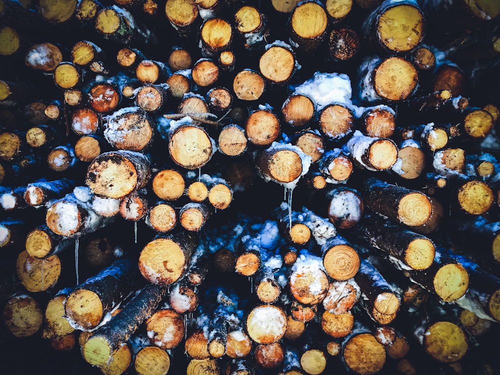 brown and white wood logs