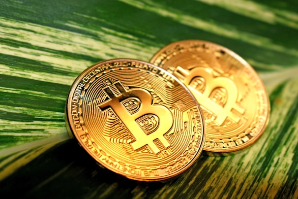 Two golden Bitcoin coins are placed on a lush green leaf, with intricate circuit-like patterns on their surface. The glossy finish of the coins contrasts with the organic texture of the leaf.
