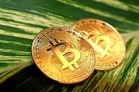 Two golden Bitcoin coins are placed on a lush green leaf, with intricate circuit-like patterns on their surface. The glossy finish of the coins contrasts with the organic texture of the leaf.