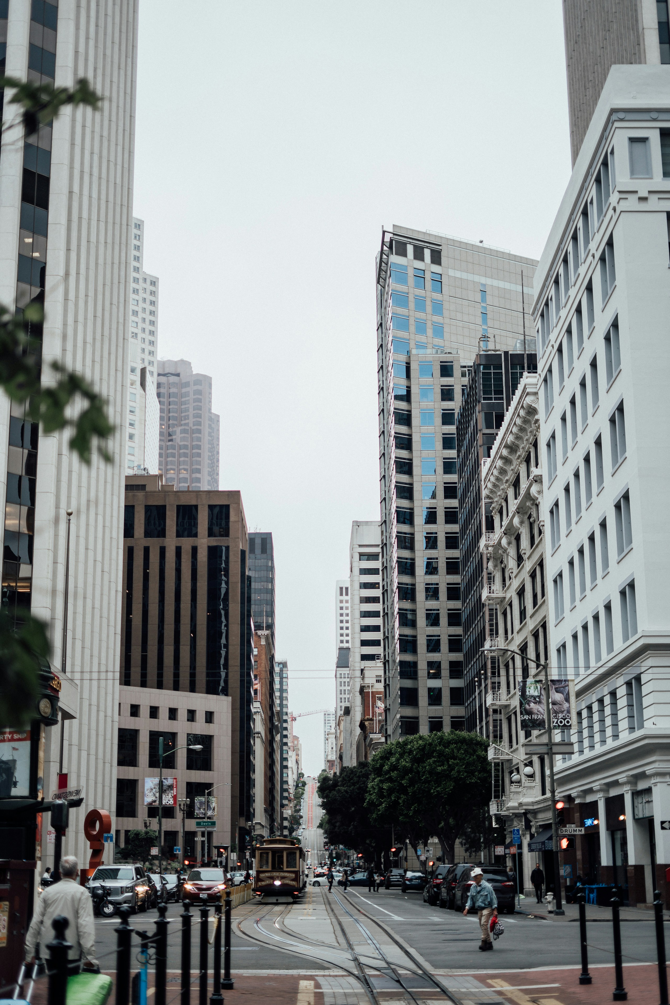 Photo by luisalemanmx