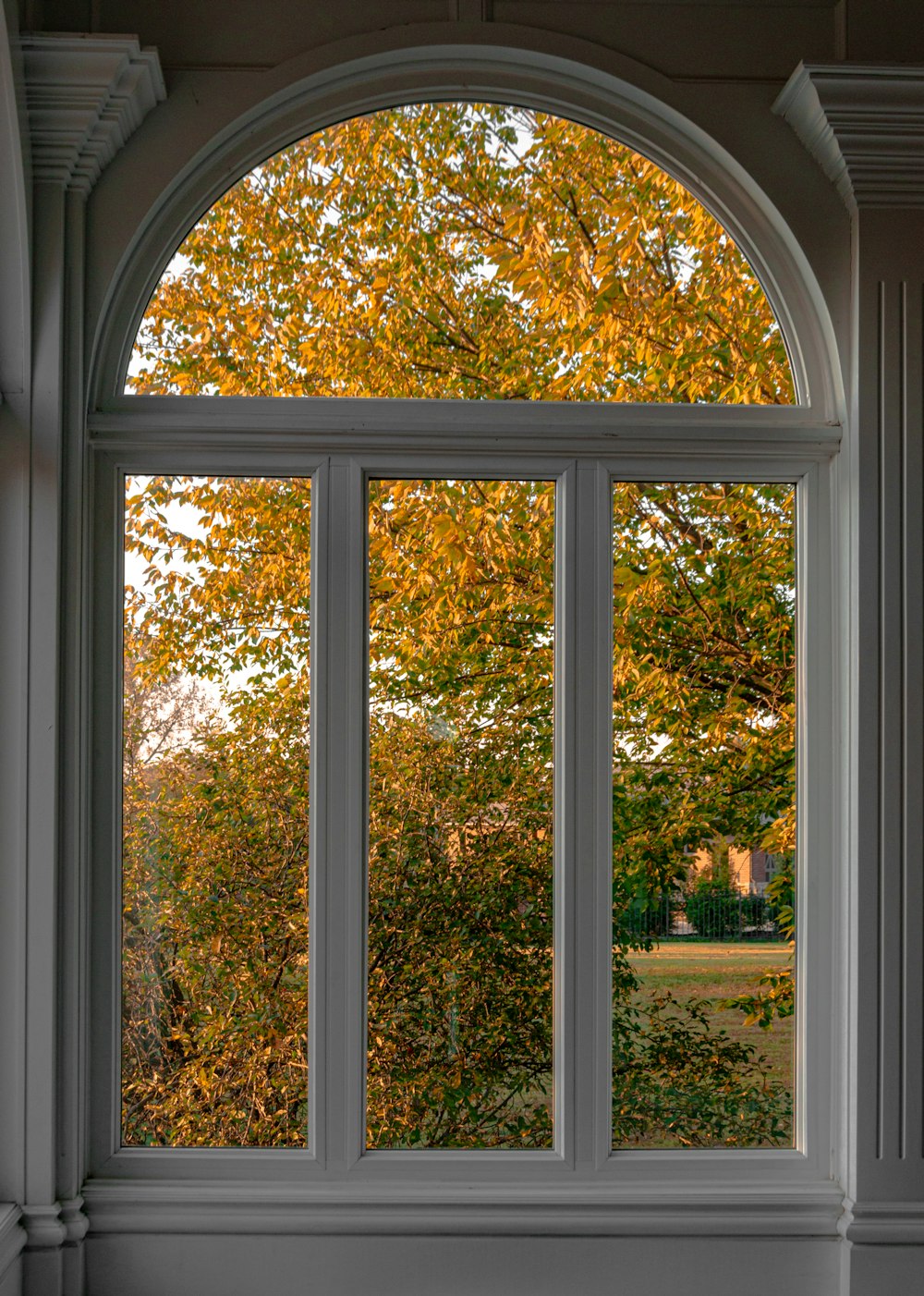 ventana de vidrio con marco de madera blanca