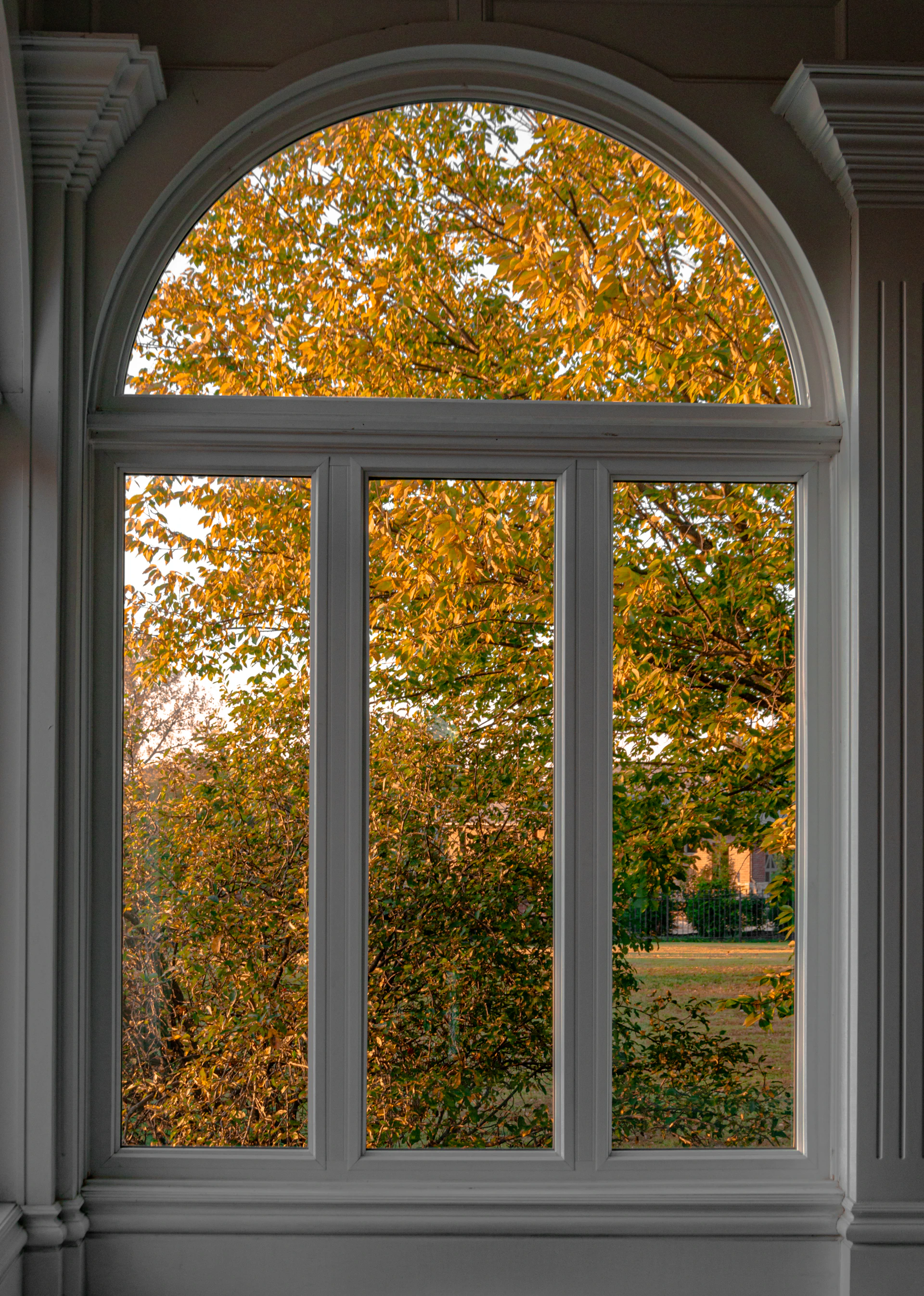 white wooden framed glass window