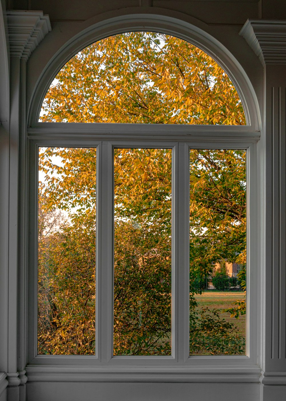 janela de vidro emoldurada de madeira branca