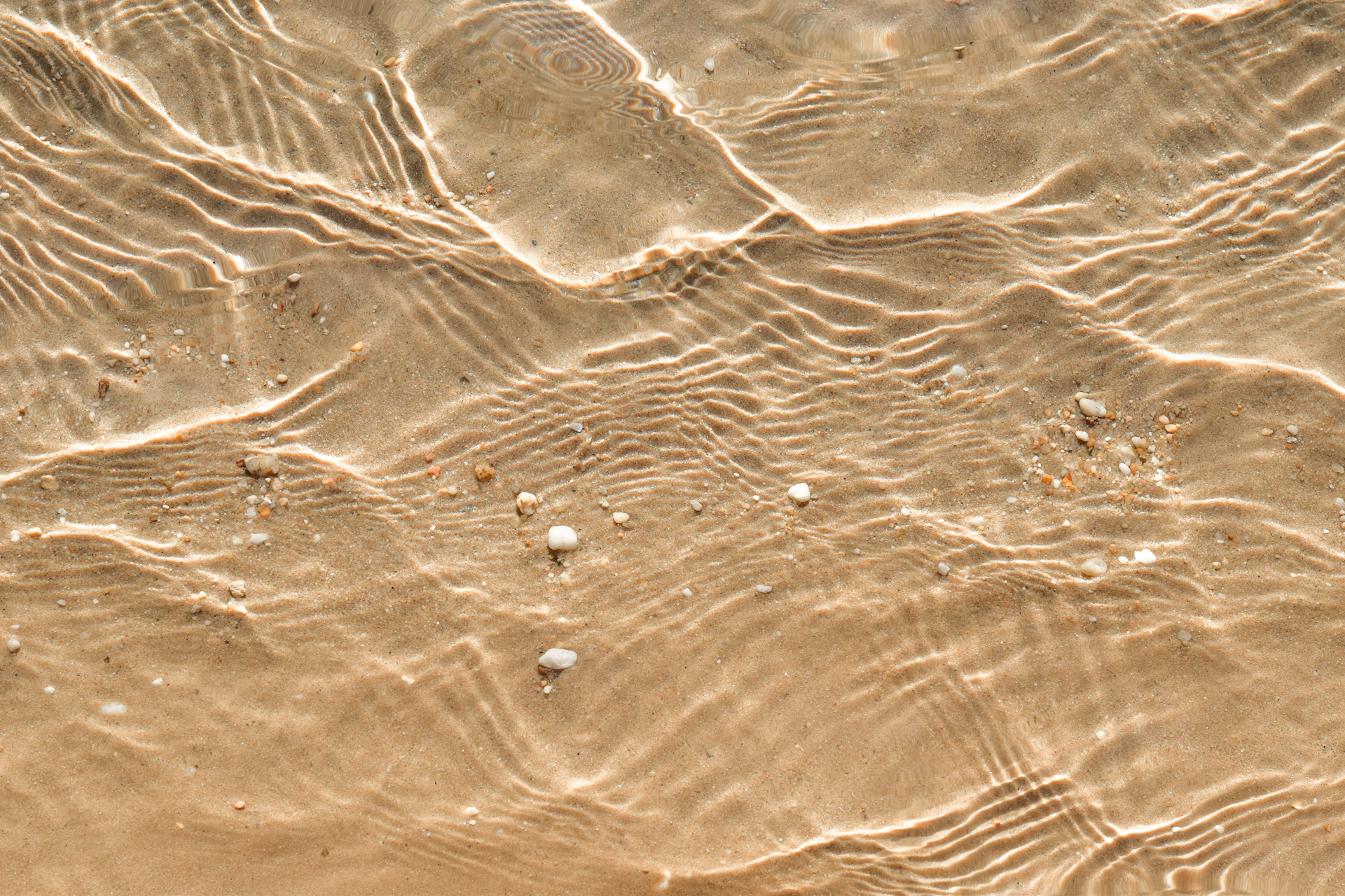 close up photo of water
